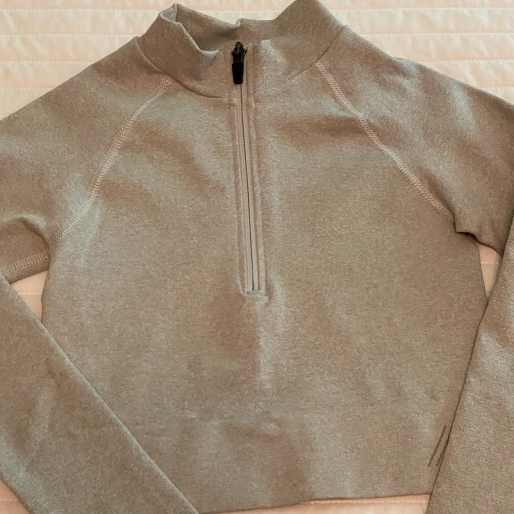 TALA Aster Crop